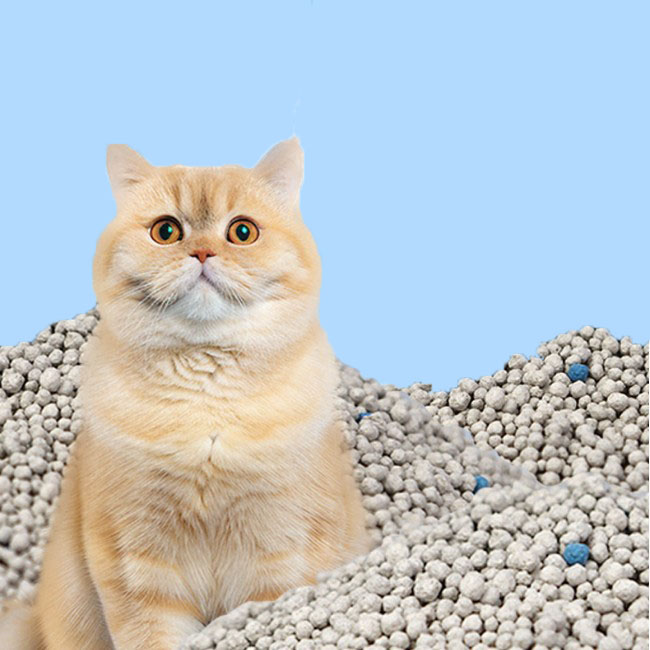 Well degradable cat litter