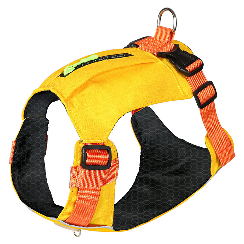 Double D-ring night safe pet vest