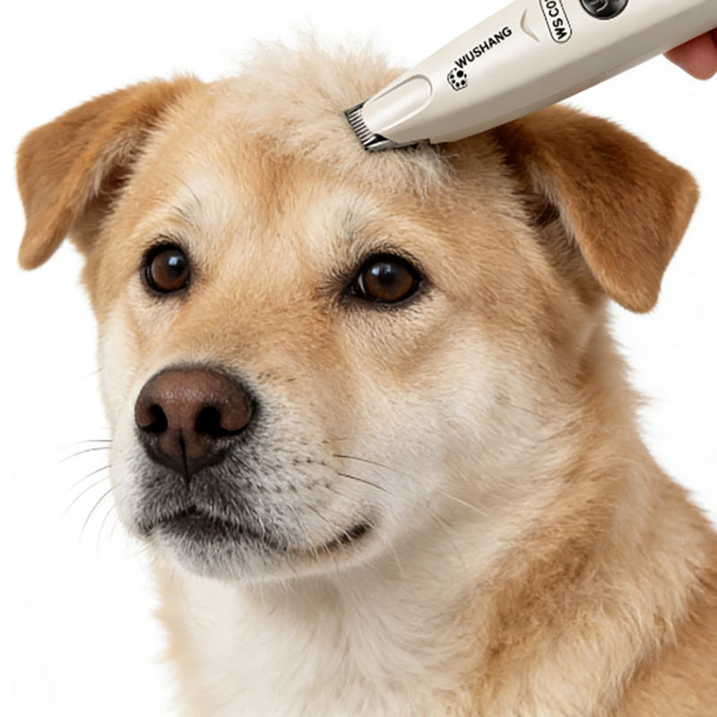 pet grooming clippers 