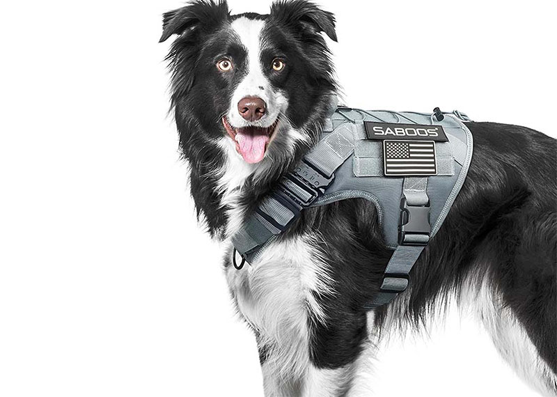 Руководство по выбору поводка для домашних животных: какой материал лучше — нейлон, кожа или светоотражающий?