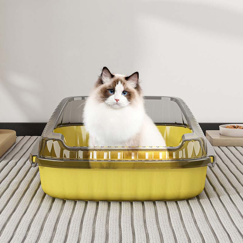 litter box